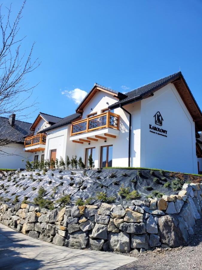 Karolowy Pokoje&Apartamenty Ustroń Exterior foto